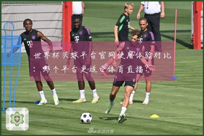 世界杯买球平台官网使用体验对比：哪个平台更适合体育直播？