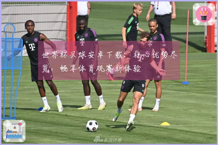 世界杯买球安卓下载：核心优势尽览，畅享体育观赛新体验