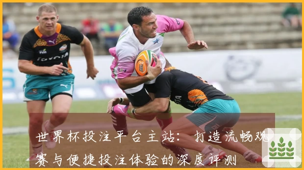 世界杯投注平台主站：打造流畅观赛与便捷投注体验的深度评测