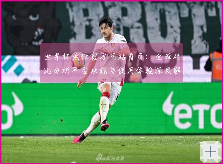 世界杯竞猜官方网站首页：全面对比分析平台功能与使用体验深度解析